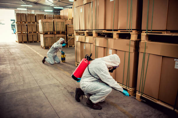Best Best Pest Control Companies  in San Andreas, CA