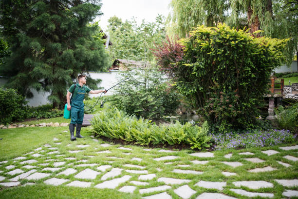 Best Pest Control Treatment  in San Andreas, CA