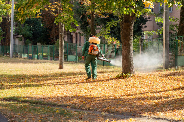 Best Cockroach Control Services  in San Andreas, CA