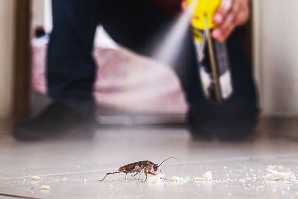 Best Pest Prevention Services  in San Andreas, CA