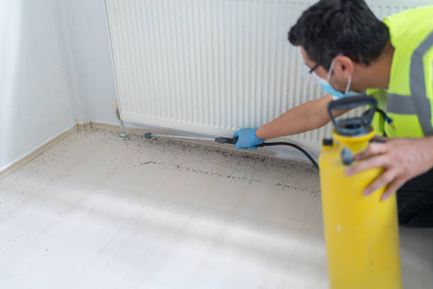 Best Bed Bug Extermination  in San Andreas, CA