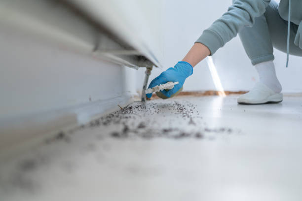 Best Emergency Pest Control  in San Andreas, CA